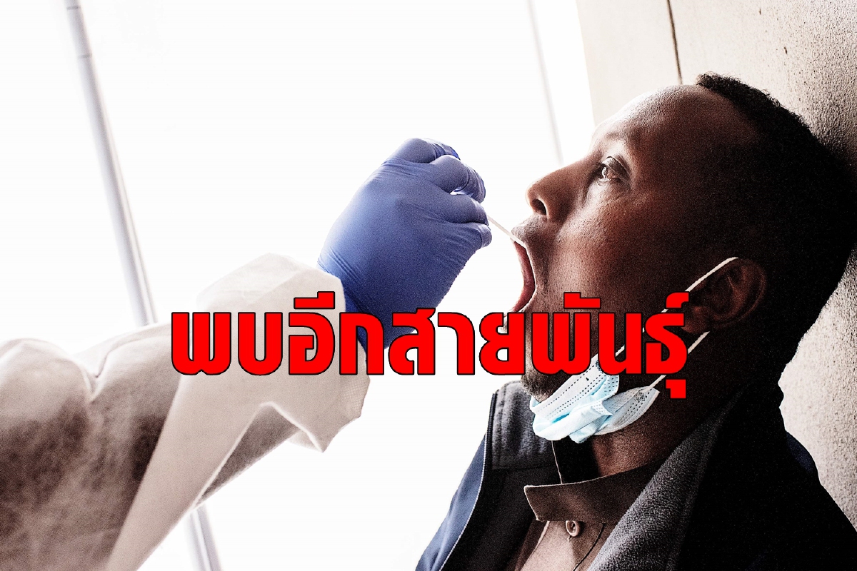 โลกผวา! แอฟริกาใต้พบไวรัสอีกสายพันธุ์ โลกผวา! แอฟริกาใต้พบไวรัสอีกสายพันธุ์