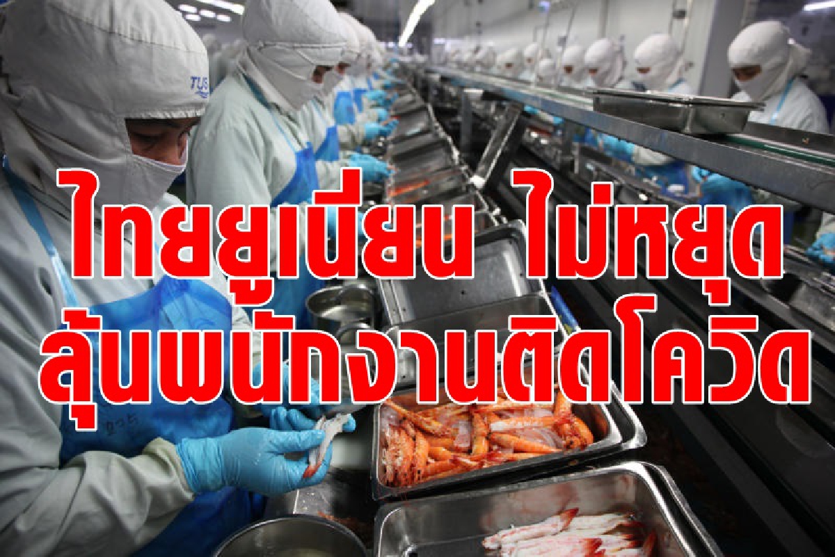 ไทยยูเนียนแจงลุ้นผลตรวจพนักงานสมุทรสาครติดโควิด ไทยยูเนียนแจงลุ้นผลตรวจพนักงานสมุทรสาครติดโควิด
