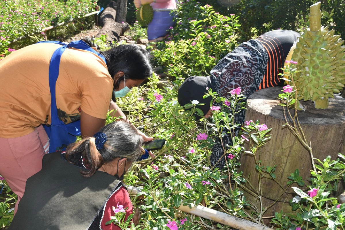 แห่ขอโชคจากเห็ดมือผีโผล่จากดินหายากอันดับ2ของโลก