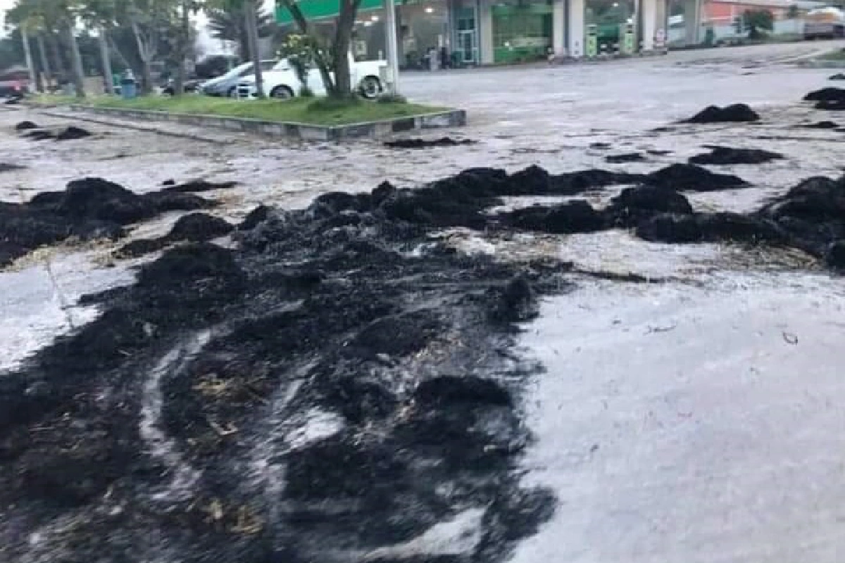 คนร้ายป่วนสายบุรี5จุด ลอบเผาสิบล้อ-วางเพลิงอบต.-ขโมยกล้องวงจรปิด