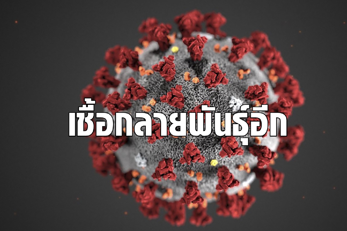 ยังมีอีก! ไนจีเรียเจอโควิดกลายพันธุ์ คนละตัวกับอังกฤษ-แอฟริกาใต้ ยังมีอีก! ไนจีเรียเจอโควิดกลายพันธุ์ คนละตัวกับอังกฤษ-แอฟริกาใต้