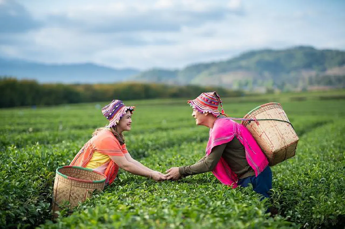 ทริปนี้หวานมาก! ชาคริต-แอน กระเตงลูกชายเที่ยวเชียงรายสุดคึกคัก