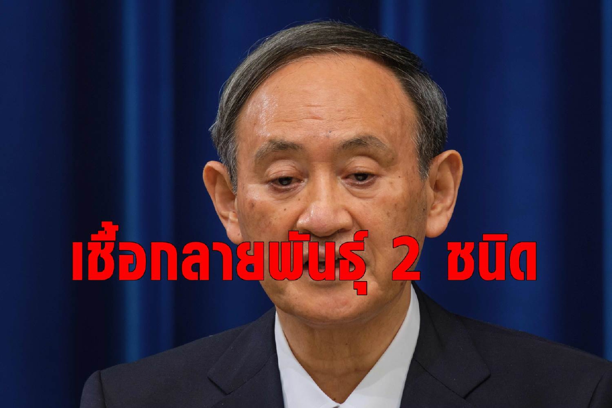 ญี่ปุ่นงานเข้าอีก! เจอเชื้อกลายพันธุ์อีกชนิดที่มาจากแอฟริกา ญี่ปุ่นงานเข้าอีก! เจอเชื้อกลายพันธุ์อีกชนิดที่มาจากแอฟริกา