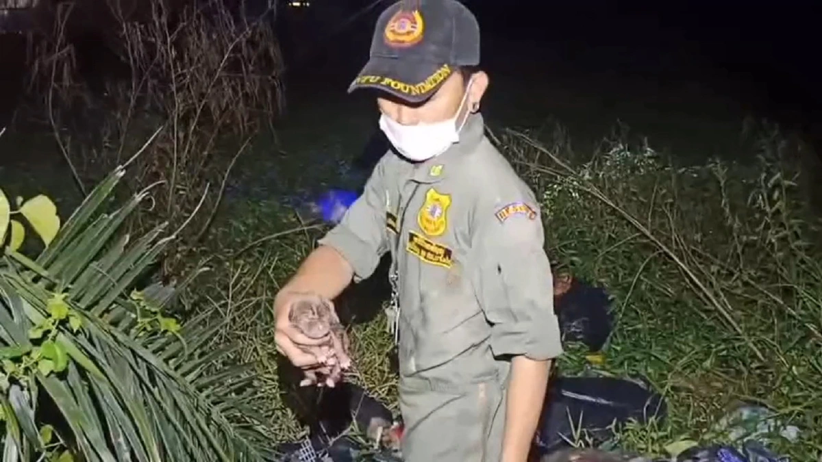 สุดอนาถ!คนใจร้ายจับลูกสุนัขแรกเกิด5ตัวยัดถุงดำโยนทิ้งบ่อร้าง