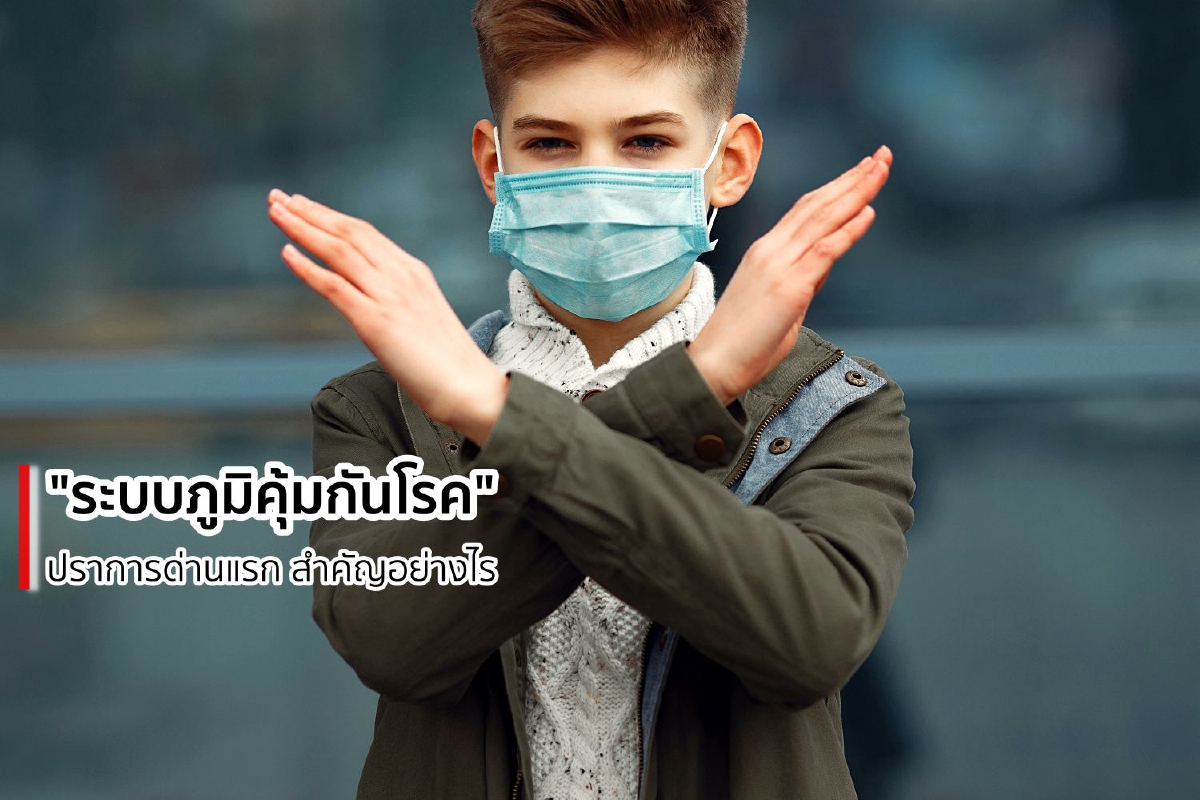 ปราการด่านแรก "ระบบภูมิคุ้มกันโรค" สำคัญอย่างไร ปราการด่านแรก "ระบบภูมิคุ้มกันโรค" สำคัญอย่างไร