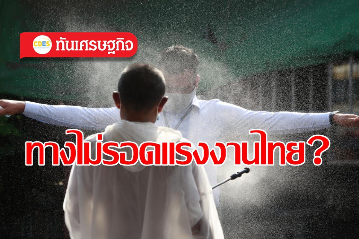 ทางไม่รอดของแรงงานและสังคมไทย? ทางไม่รอดของแรงงานและสังคมไทย?