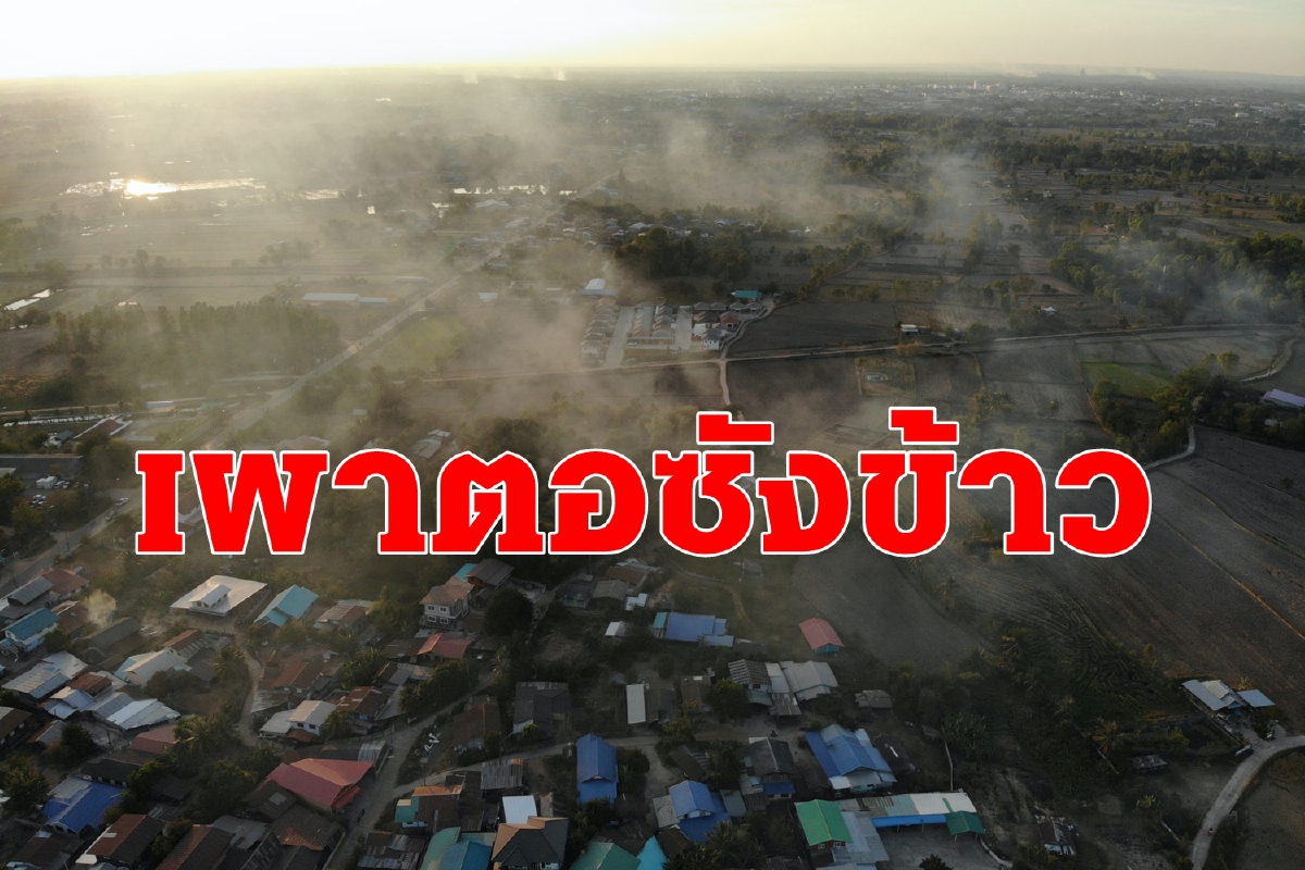 ชาวนามักง่าย! เผาตอซังข้าว สร้างมลพิษอากาศ ชาวนามักง่าย! เผาตอซังข้าว สร้างมลพิษอากาศ