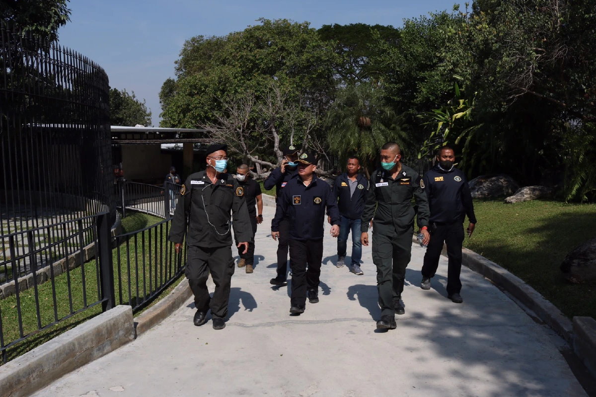 ปทส.ยึดเสือโคร่ง2ตัวเช็คดีเอ็นเอโยงลูกเสือเถื่อนฟาร์มดัง