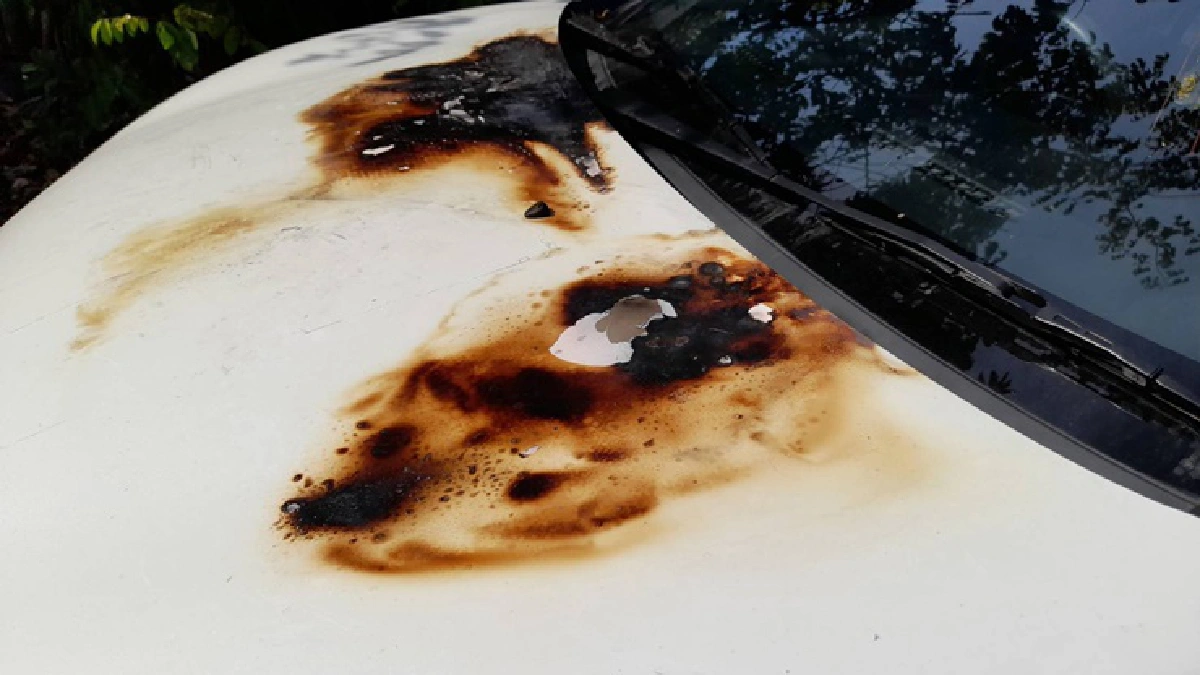 ตร.รวบ"ป้ารักแร้เหนียว"หนีบเงินทอนในตำนาน หลังเผารถญาติ