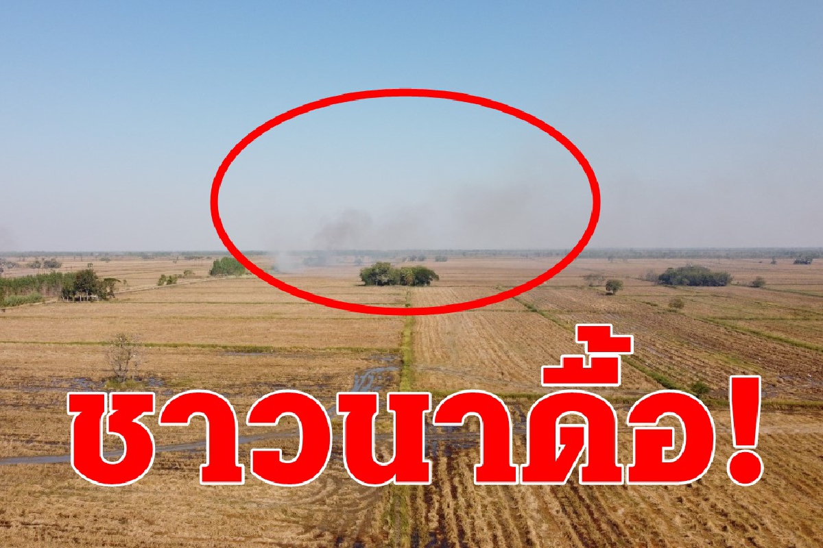 ชาวนาดื้อ!ลอบเผาตอซังข้าวกระทบระบบหายใจชาวบ้าน ชาวนาดื้อ!ลอบเผาตอซังข้าวกระทบระบบหายใจชาวบ้าน