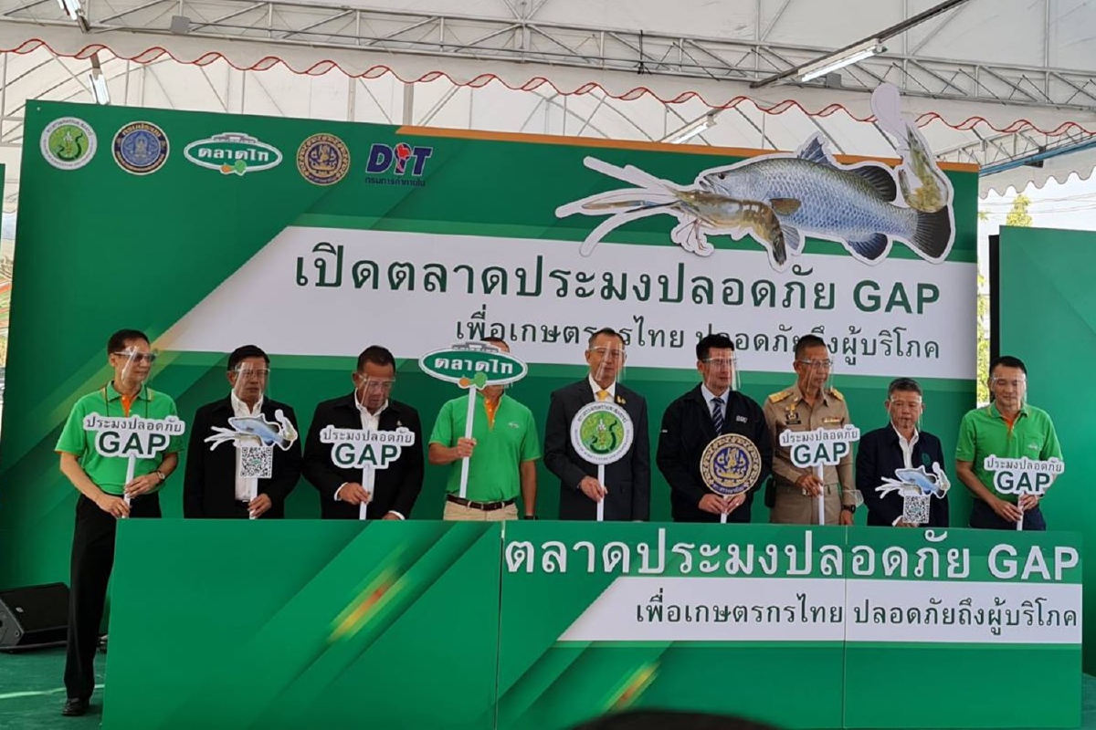 เปิดพื้นที่ตลาดไทยให้เกษตรกรเพราะเลี้ยงสัตว์น้ำขายส่งฟรี3เดือน เปิดพื้นที่ตลาดไทยให้เกษตรกรเพราะเลี้ยงสัตว์น้ำขายส่งฟรี3เดือน