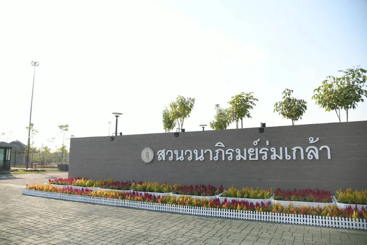 กทม.ชวนชมความสวยงามทุ่งดอกแพงพวยหลากสีบนพื้นที่กว่า 4 ไร่