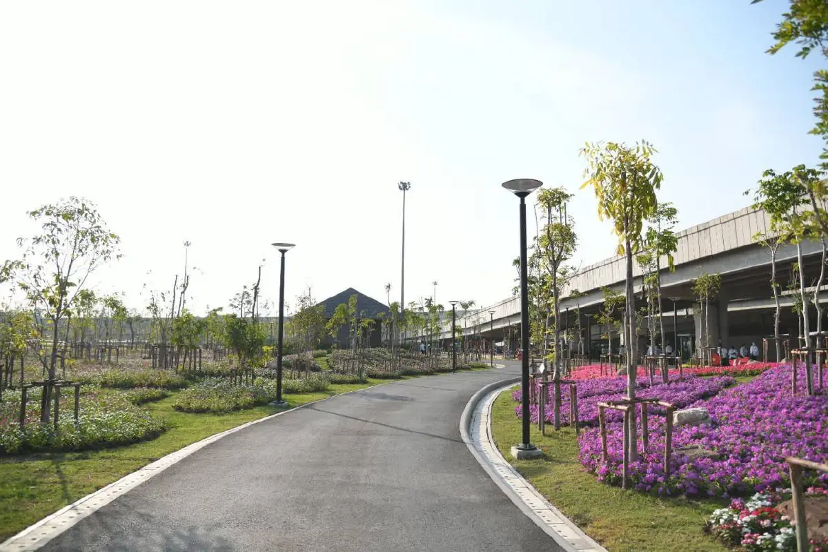 กทม.ชวนชมความสวยงามทุ่งดอกแพงพวยหลากสีบนพื้นที่กว่า 4 ไร่