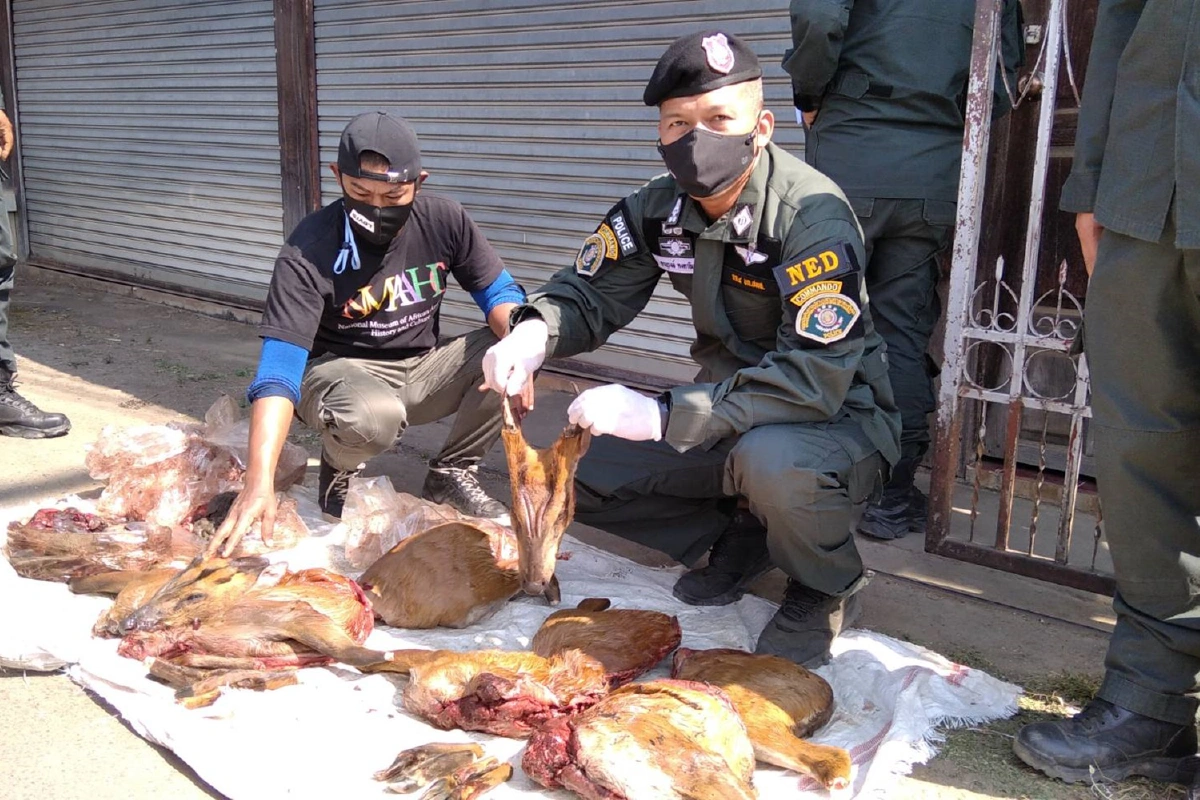 เปิดตำนาน"เจ๊ณี"เจ้าแม่ค้าสัตว์ป่ารายใหญ่ภาคเหนือ ตำรวจปทส.บุกจับแล้ว