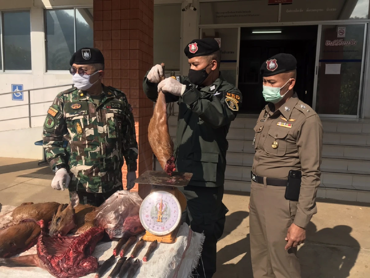 เปิดตำนาน"เจ๊ณี"เจ้าแม่ค้าสัตว์ป่ารายใหญ่ภาคเหนือ ตำรวจปทส.บุกจับแล้ว