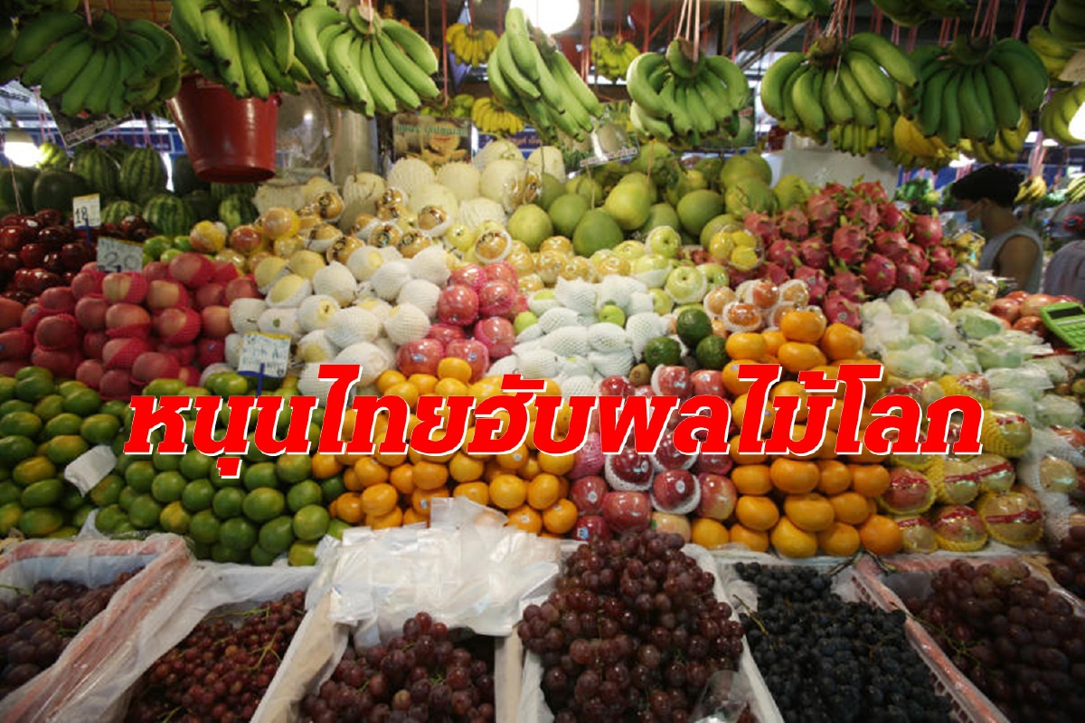 ผุดห้องเย็นในอีอีซี ดันไทยฮับผลไม้โลก ผุดห้องเย็นในอีอีซี ดันไทยฮับผลไม้โลก