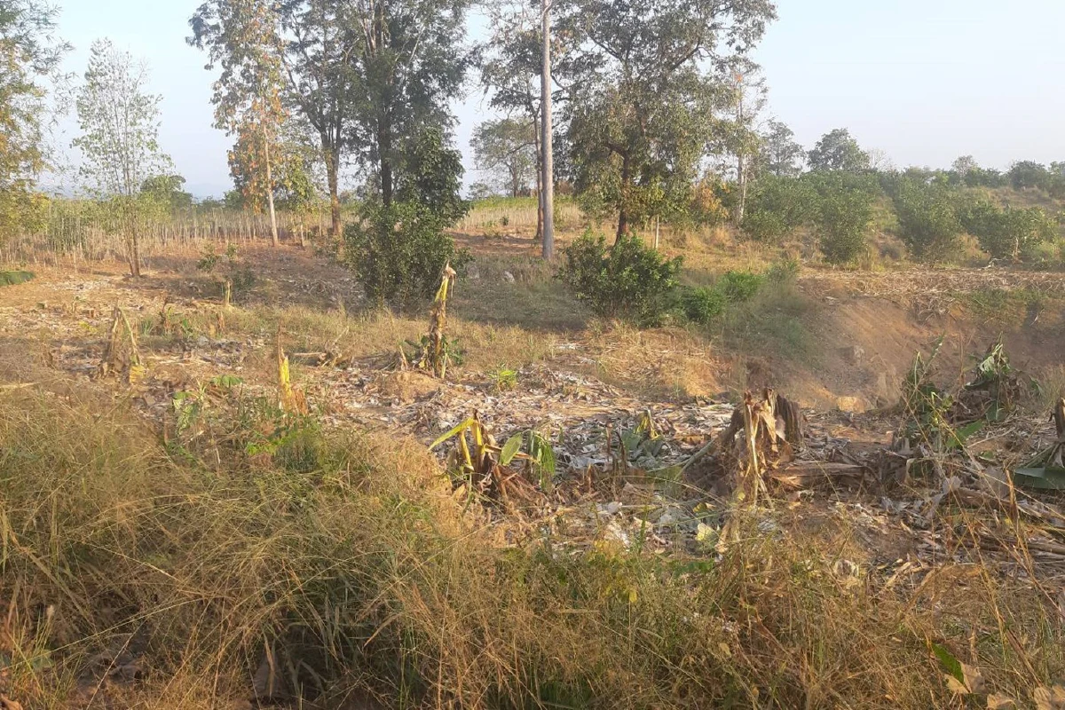 ชาวบ้านร้องส.ส.เสรีรวมไทยช่วยแก้ปัญหาความเดือดร้อนจากช้างป่า