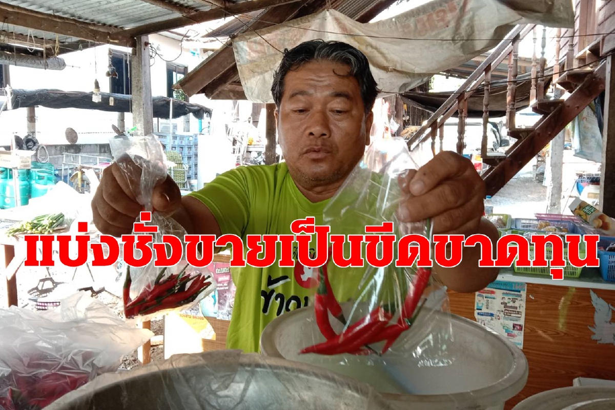 "พริกแพงจริง"พ่อค้าของชำแบ่งชั่งขายเป็นขีดขาดทุน "พริกแพงจริง"พ่อค้าของชำแบ่งชั่งขายเป็นขีดขาดทุน