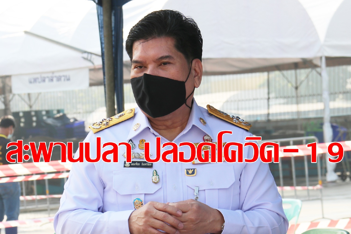 อสป.ปลื้มไม่พบผู้ติดเชื้อโควิด ในพื้นที่สะพานปลากรุงเทพ อสป.ปลื้มไม่พบผู้ติดเชื้อโควิด ในพื้นที่สะพานปลากรุงเทพ