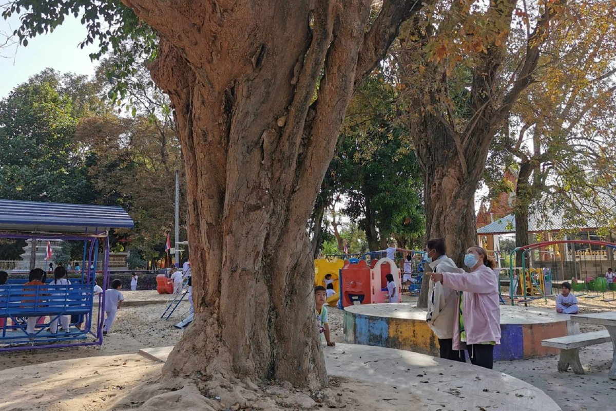 นายทุนอกหัก! มติประชาคมค้านวัดไม่ให้ขายไม้พะยูง