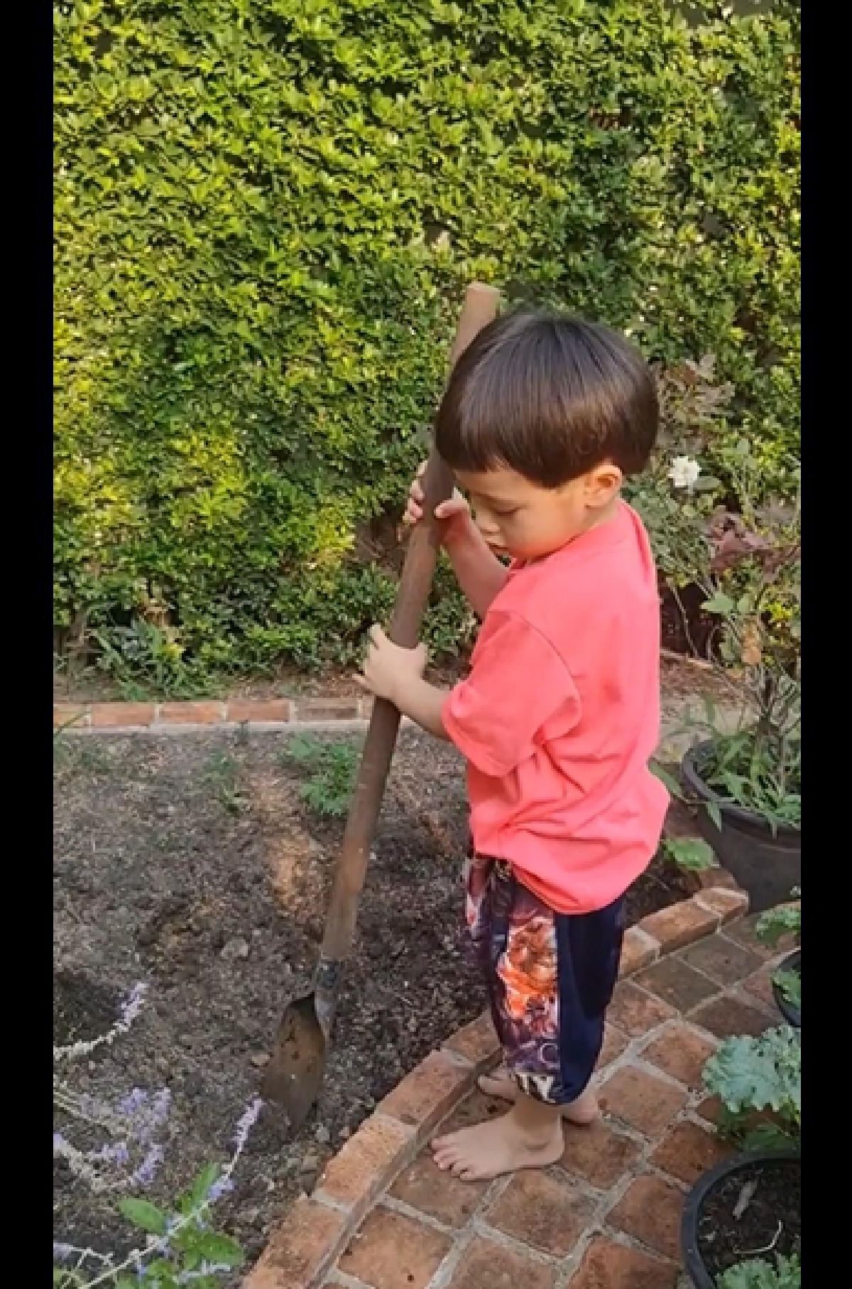 น่าเอ็นดู! สายฟ้า-พายุ รับบทเกษตรกร ขุดดินรดน้ำสวนบ้านคุณยาย 