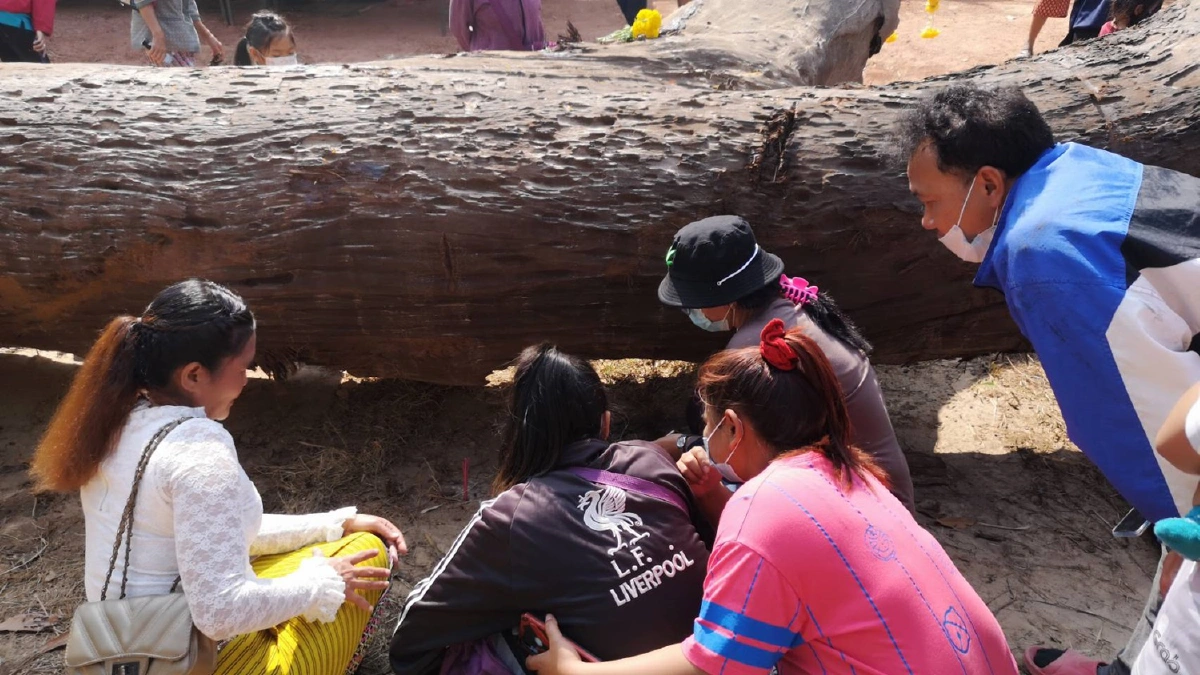 คึกคัก!แห่ขอเลขเด็ดตะเคียนยักษ์กว่า300ปีใกล้วันหวยออก