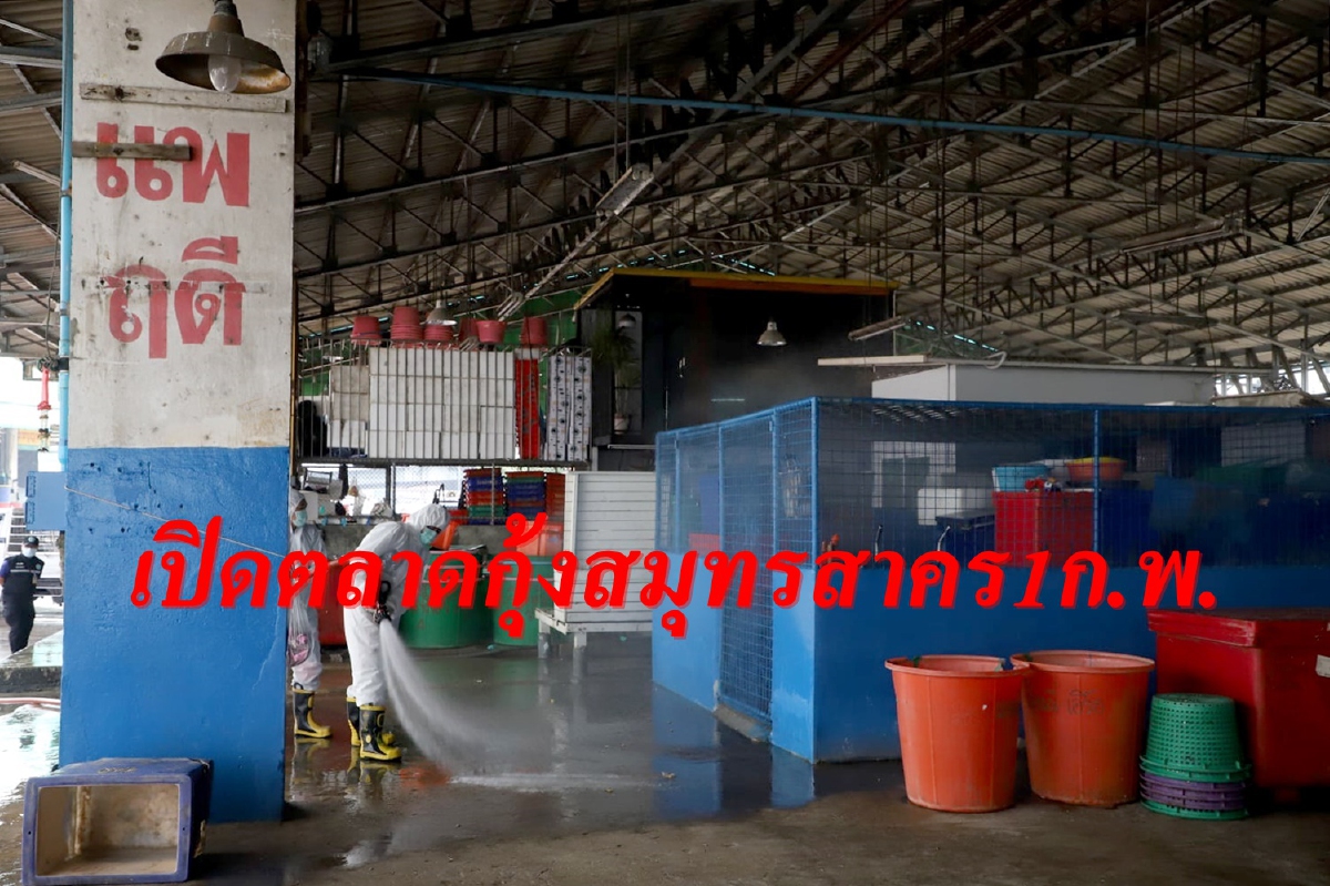 ตลาดกุ้งสมุทรสาครเปิด1ก.พ.ทำความสะอาดแต่ไม่ให้ขายของ ตลาดกุ้งสมุทรสาครเปิด1ก.พ.ทำความสะอาดแต่ไม่ให้ขายของ