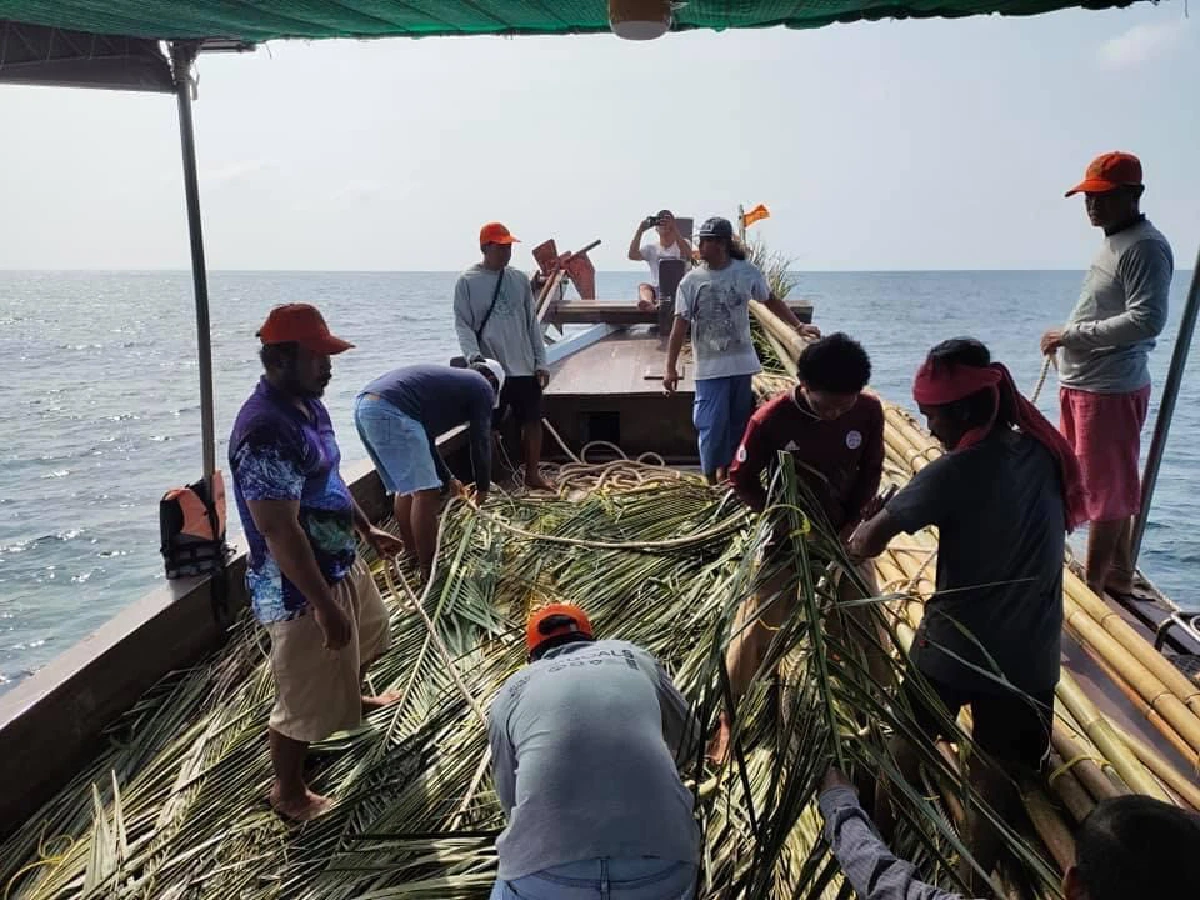 "วาฬบรูด้า-ฝูงโลมา"โผล่ทะเลเกาะเต่าอวดโฉมนักอนุรักษ์