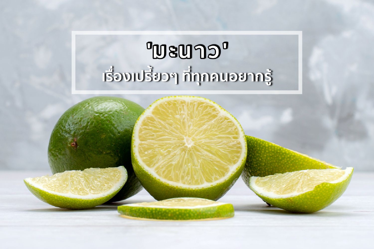 'มะนาว' เรื่องเปรี้ยวๆ ที่ทุกคนอยากรู้ 'มะนาว' เรื่องเปรี้ยวๆ ที่ทุกคนอยากรู้