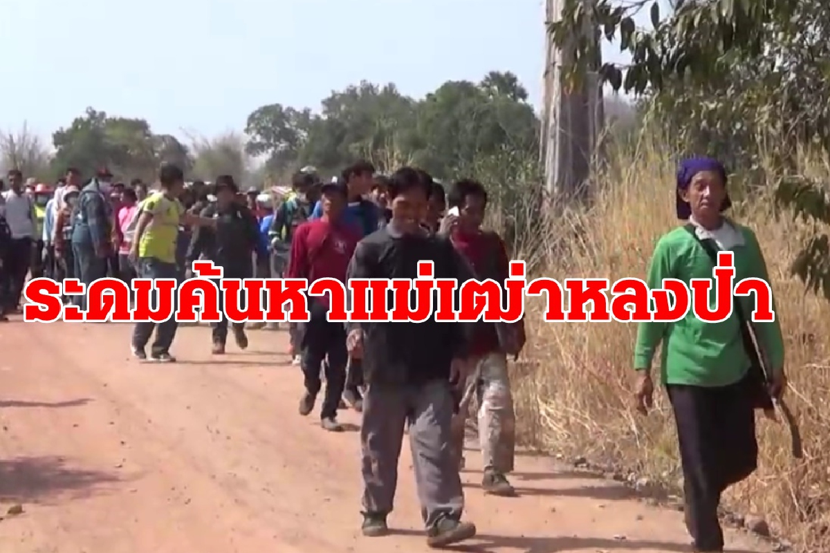 ไม่ทราบชะตากรรม!ชาวบ้านระดมกำลังค้นหาแม่เฒ่าวัย68หลงป่า ไม่ทราบชะตากรรม!ชาวบ้านระดมกำลังค้นหาแม่เฒ่าวัย68หลงป่า