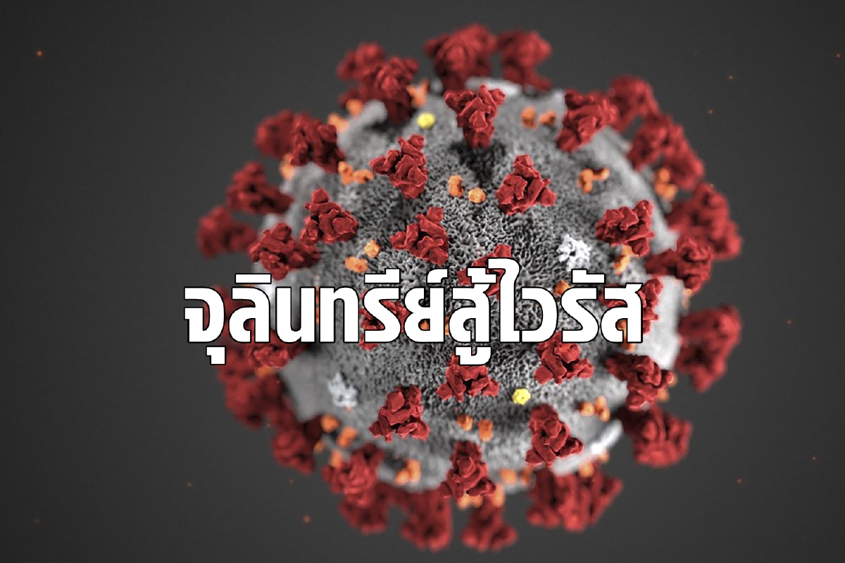 นักวิจัยเร่งศึกษา 'โพรไบโอติกส์' อาจเป็นอีกหนึ่งทางเลือกสู้โควิด