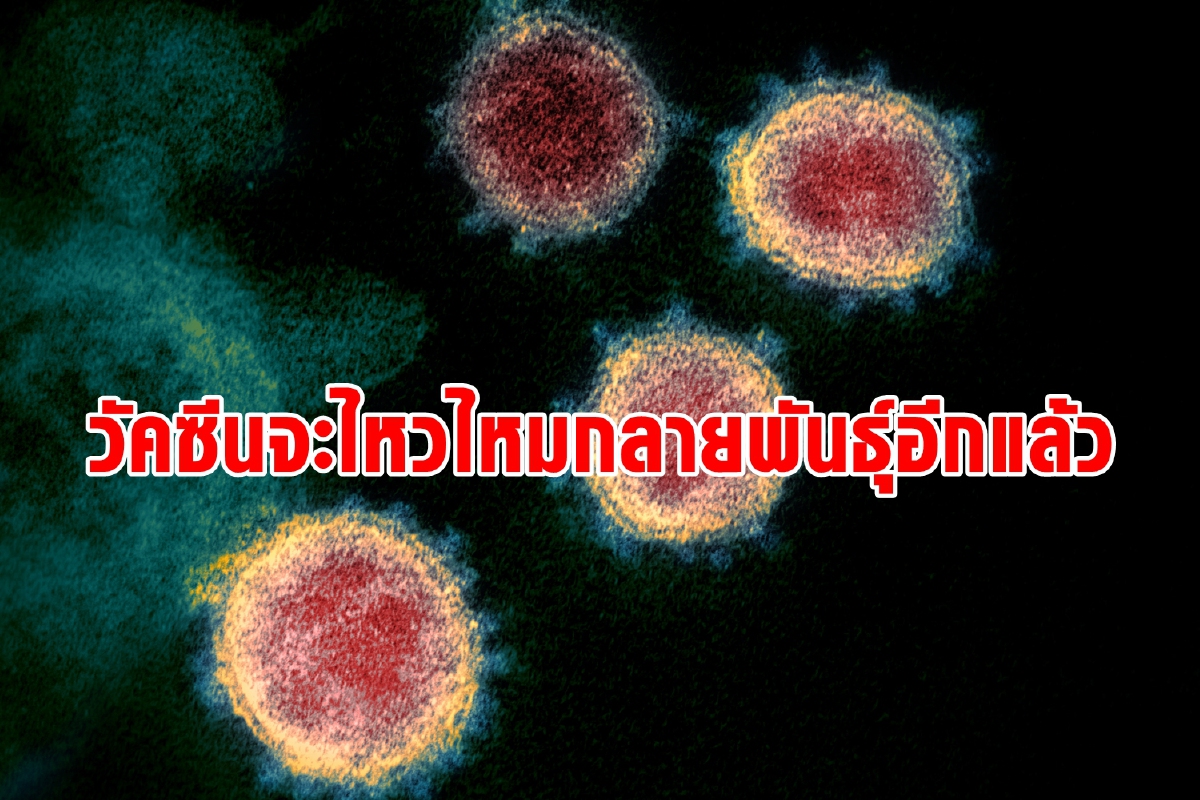 เชื้ออังกฤษกลายพันธุ์อีกหวั่นวัคซีนเอาไม่อยู่ เชื้ออังกฤษกลายพันธุ์อีกหวั่นวัคซีนเอาไม่อยู่