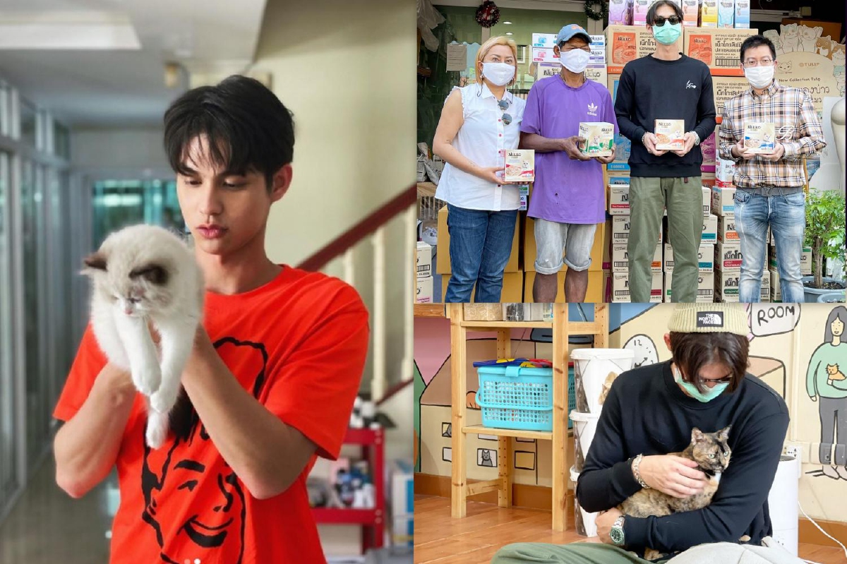 หล่อใจบุญ! ไบร์ท วชิรวิชญ์ ควักเงินครึ่งแสนซื้ออาหารแมวบริจาค หล่อใจบุญ! ไบร์ท วชิรวิชญ์ ควักเงินครึ่งแสนซื้ออาหารแมวบริจาค