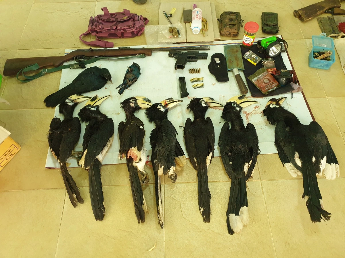 อัปยศ!มูลนิธิสืบฯประณามพันจ่าเอกล่านกเงือกจี้ดำเนินคดีเด็ดขาด