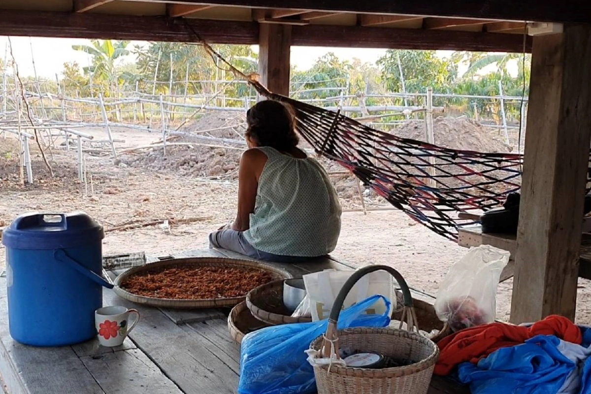 เตือนระวังแก๊งค์มิจฉาชีพลวงคนแก่ในภาคอีสานหลอกให้จับรางวัล