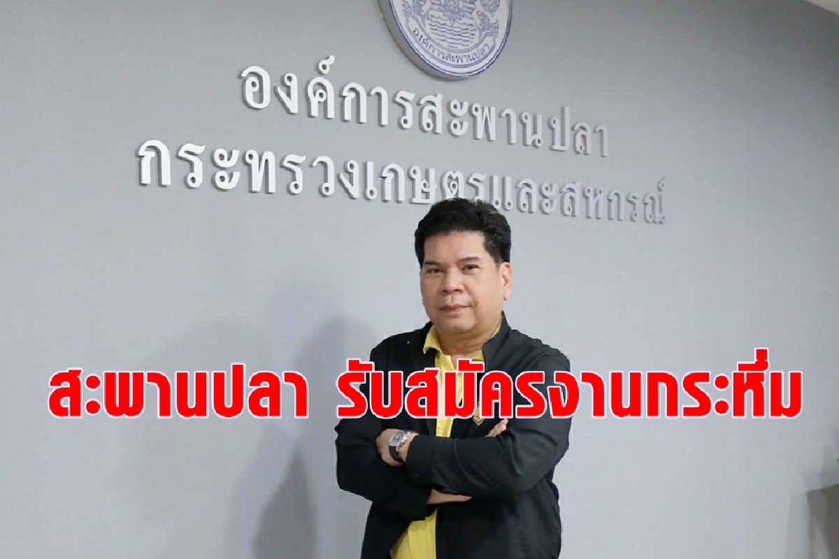 สะพานปลา เปิดรับสมัครงานกระหึ่ม รองรับขยายตลาด-ท่าบกเต็มสูบ สะพานปลา เปิดรับสมัครงานกระหึ่ม รองรับขยายตลาด-ท่าบกเต็มสูบ