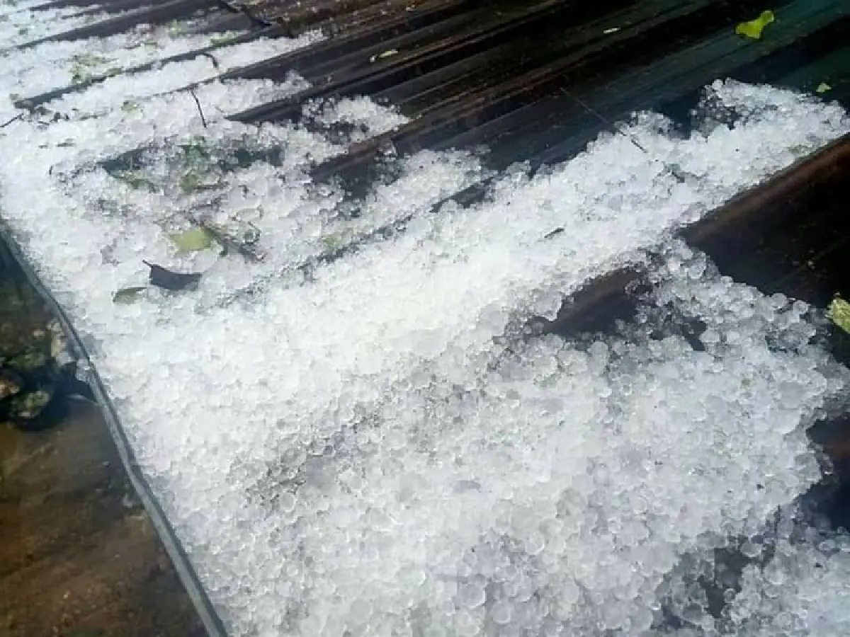 ขาวโพลน!พายุลูกเห็บเท่าหัวแม่มือตกในหลายอำเภอของเชียงใหม่