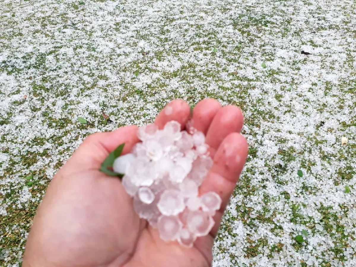 ขาวโพลน!พายุลูกเห็บเท่าหัวแม่มือตกในหลายอำเภอของเชียงใหม่