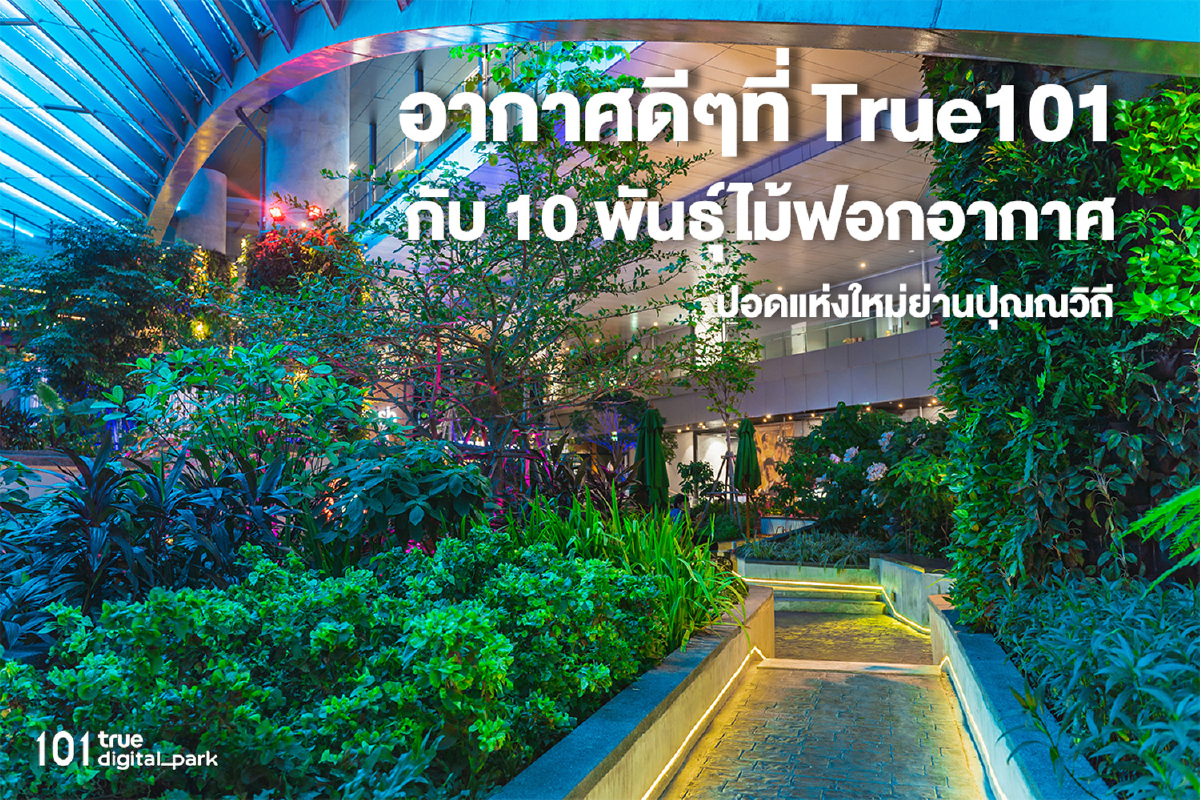 101 True Digital Park ตั้งการ์ดเข้มสู้โควิดรอบใหม่ จับมือร้านค้าทั่วศูนย์ ช้อป-ชิม-ชิลล์ อย่างปลอดภัยทุกพื้นที่ พร้อมโซนสีเขียวรับไลฟ์สไตล์ WFH 101 True Digital Park ตั้งการ์ดเข้มสู้โควิดรอบใหม่ จับมือร้านค้าทั่วศูนย์ ช้อป-ชิม-ชิลล์ อย่างปลอดภัยทุกพื้นที่ พร้อมโซนสีเขียวรับไลฟ์สไตล์ WFH