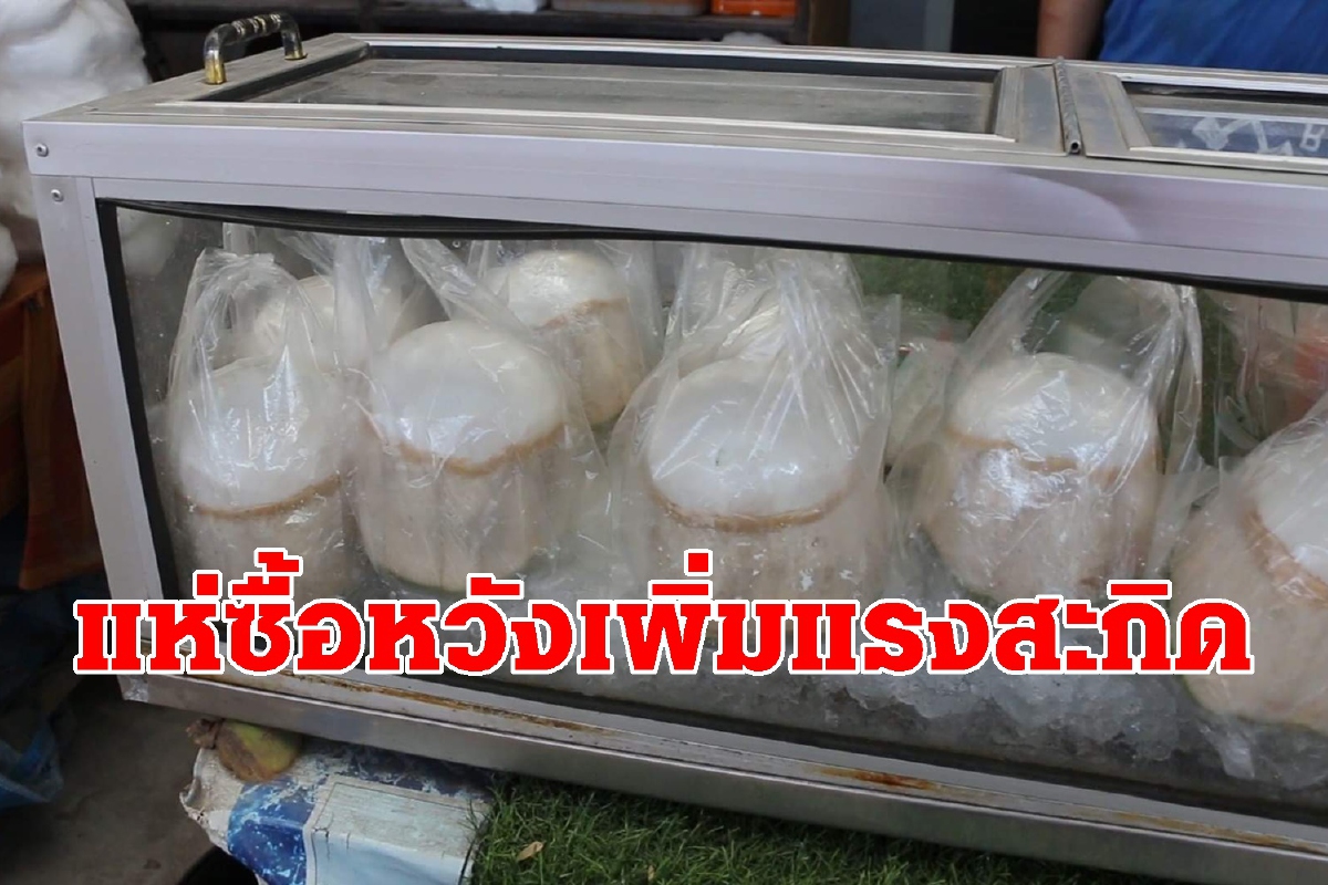 หวังเพิ่มแรงสะกิด! หนุ่มขอนแก่นแห่ซื้อน้ำมะพร้าวดื่ม หวังเพิ่มแรงสะกิด! หนุ่มขอนแก่นแห่ซื้อน้ำมะพร้าวดื่ม