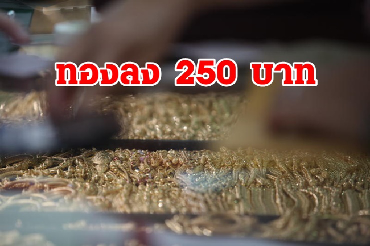 ทองคำตรุษจีนลง 250 บาท ทองคำตรุษจีนลง 250 บาท