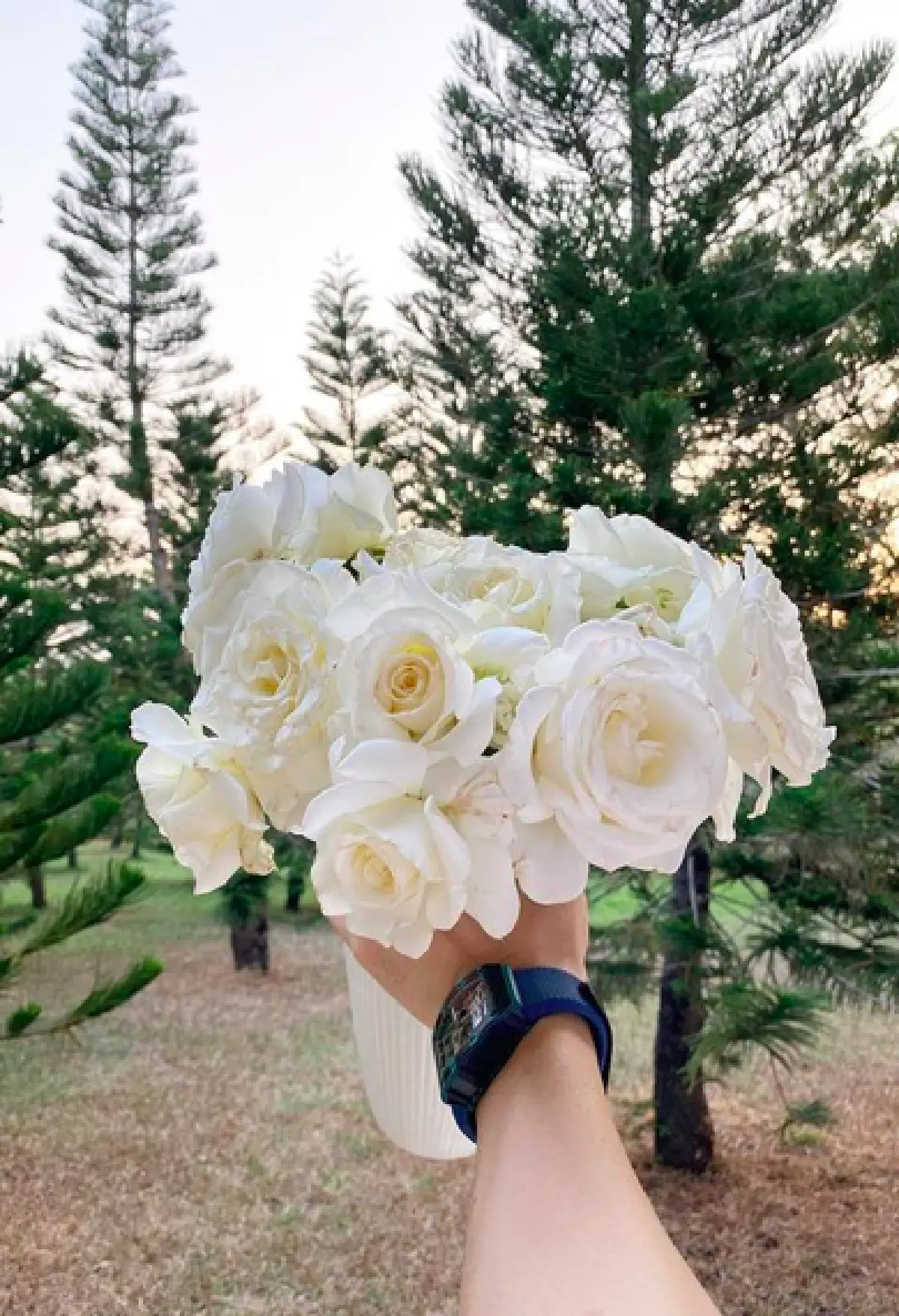 "มิว นิษฐา" อวดแปลงสวนกุหลาบที่เขาใหญ่ หลังนำดอกไม้จากงานแต่งมาปลูก