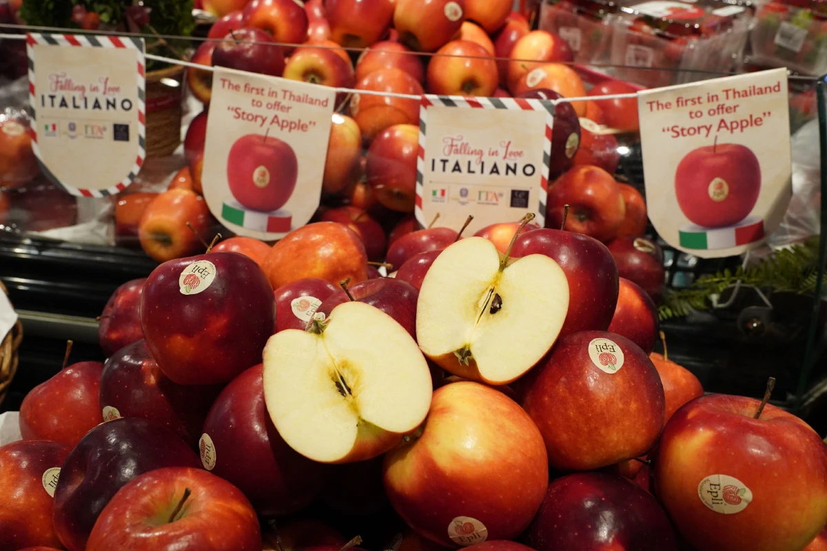 Falling in Love ITALIANO ดื่มด่ำอรรถรสอิตาเลียนแท้ๆ แค่ใกล้บ้าน