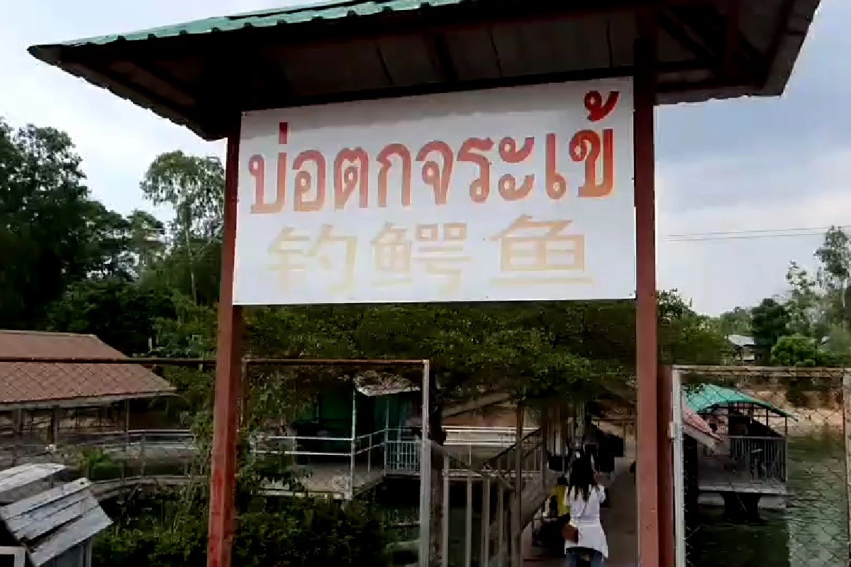 จระเข้บ่อเลี้ยงพัทยารับผลกระทบโควิดอดอาหารจนผอมโซ