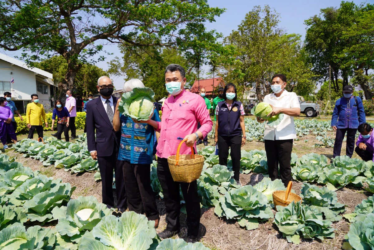 พช.เร่งขับเคลื่อนหลักปรัชญาศก.พอเพียงสร้างความแข็งแกร่งให้ชุมชน