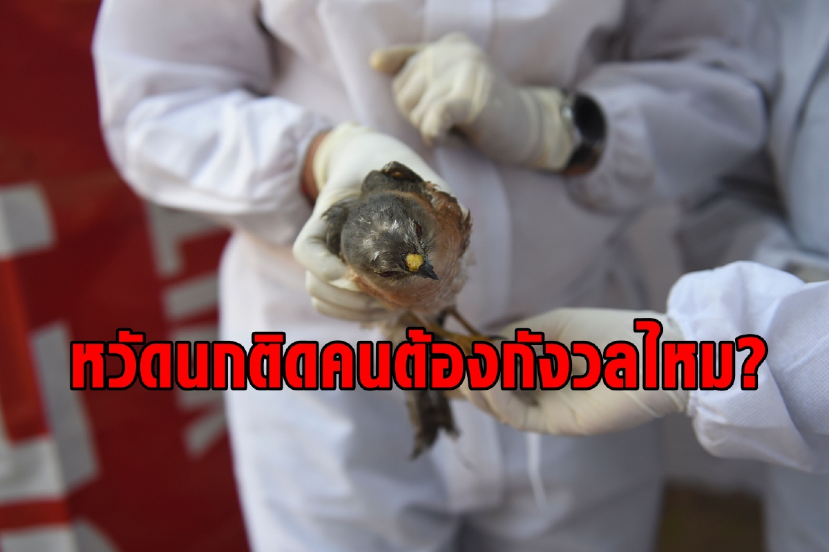 ไข้หวัดนก H5N8 ติดคนครั้งแรกที่รัสเซีย เป็นภัยคุกคามครั้งใหม่หรือไม่? ไข้หวัดนก H5N8 ติดคนครั้งแรกที่รัสเซีย เป็นภัยคุกคามครั้งใหม่หรือไม่?