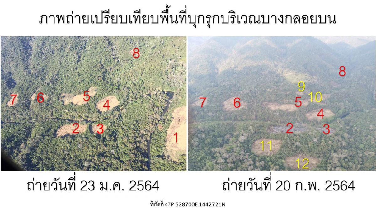 "วราวุธ"สลดป่าแก่งกระจานถูกเผาวอด100ไร่พันบ้านบางกลอย