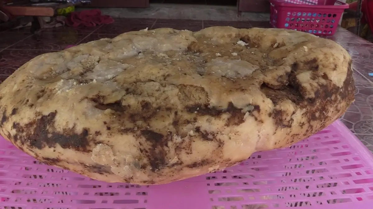 พบ"อ้วกวาฬ"เกยตื้นชายทะเลหัวไทรลือกระฉ่อนกิโลละเป็นล้าน