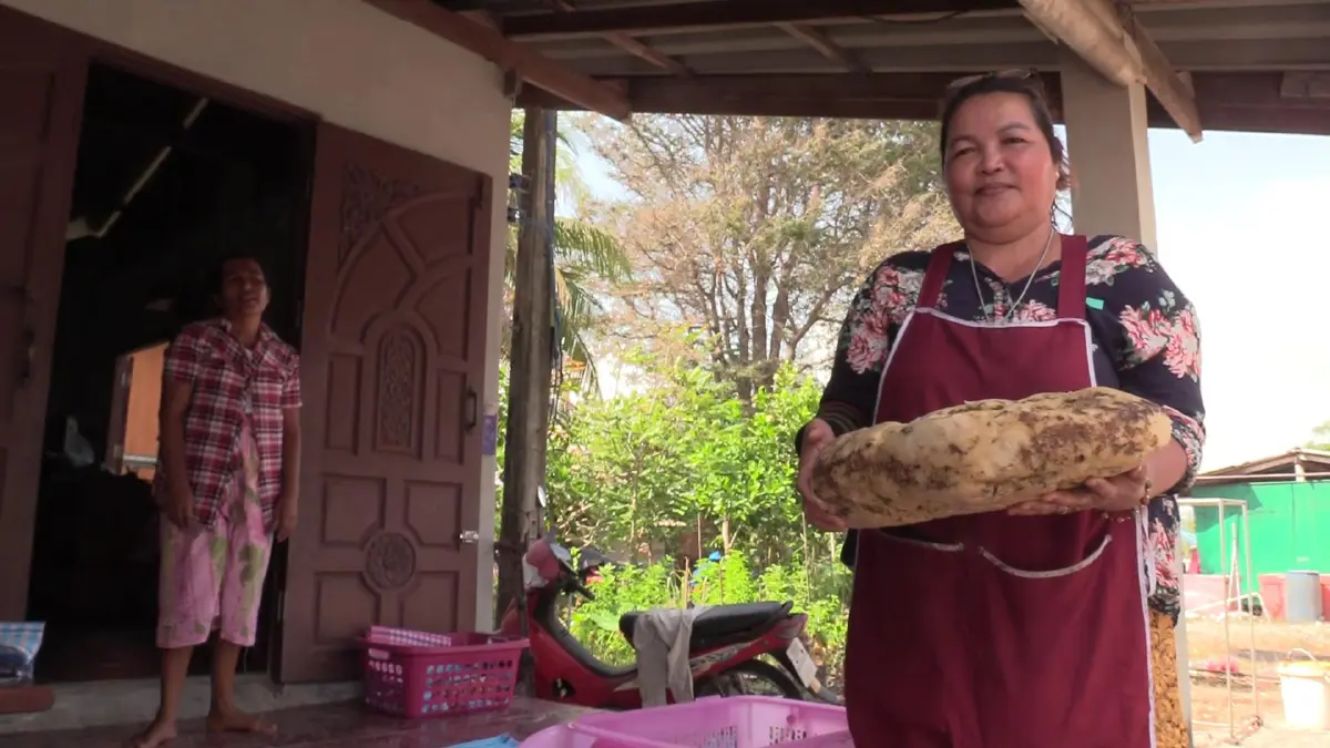 พบ"อ้วกวาฬ"เกยตื้นชายทะเลหัวไทรลือกระฉ่อนกิโลละเป็นล้าน