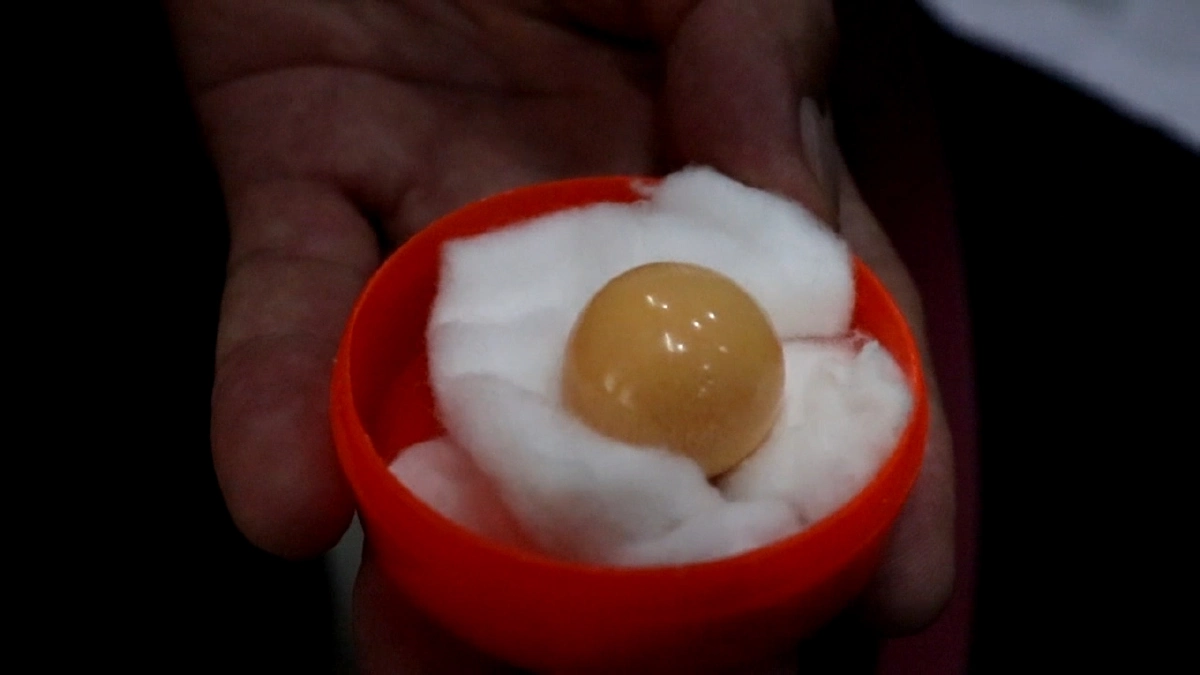 พ่อครัวเก็บลูกหินสีไว้10ปีที่แท้เป็น"ไข่มุกเมโล"หนัก90.10กะรัต